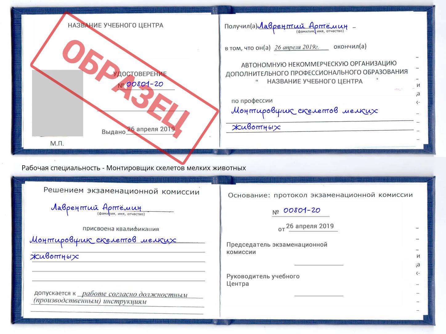 Монтировщик скелетов мелких животных Пятигорск
